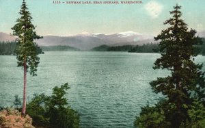 Vintage Postcard Newman Lake Near Spokane Washington WA Edward H. Mitchell Pub