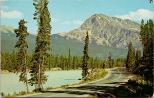 Mount Hardisty Alberta AB Athabasca River Jasper-Banff Highway Postcard H2