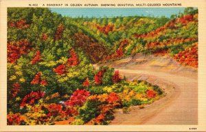 Roadway Golden Autumn Multi-Colored Mountains Linen Postcard VTG UNP Vintage 