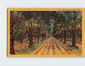 Postcard Date Gardens on the Desert, California