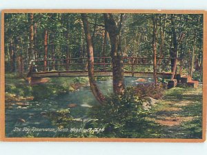 Divided-back RUSTIC BRIDGE North Woodstock - Near Lincoln NH AD7483