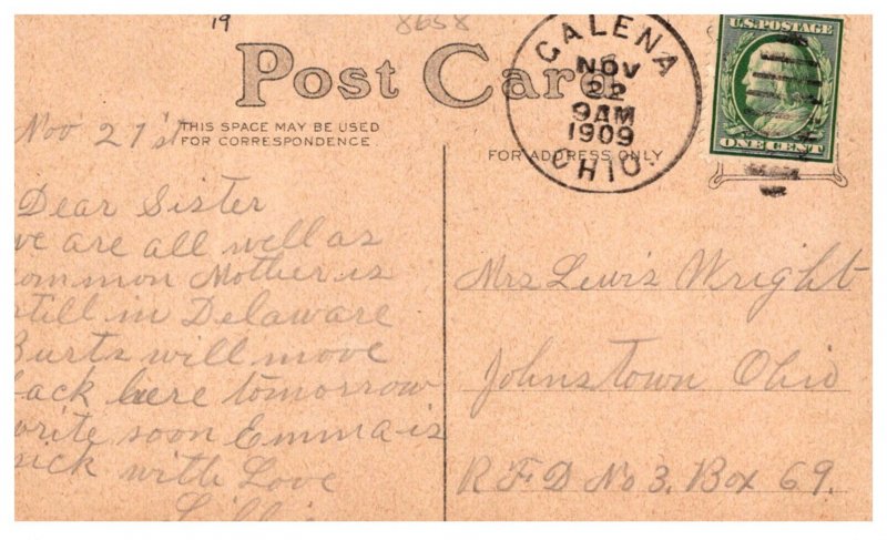 Thanksgiving  Turkey , Patriotic