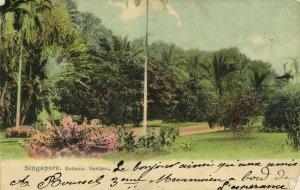 PC CPA SINGAPORE, BOTANIC GARDEN, Vintage Postcard (b19570)