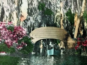 Vintage Postcard Cypress Gardens Charleston SC Boat Going under Bridge