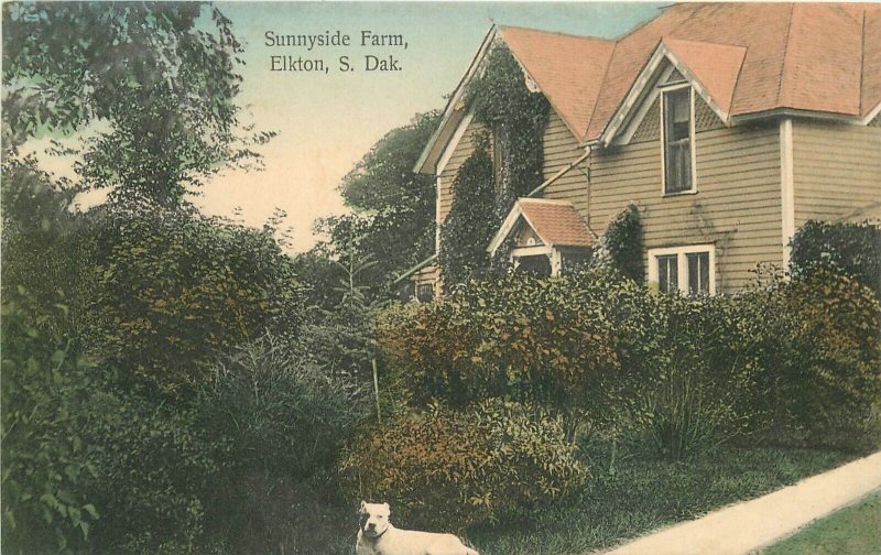 Postcard South Dakota Elkton Sunnyside Farm St. Paul Souvenir 23-6453