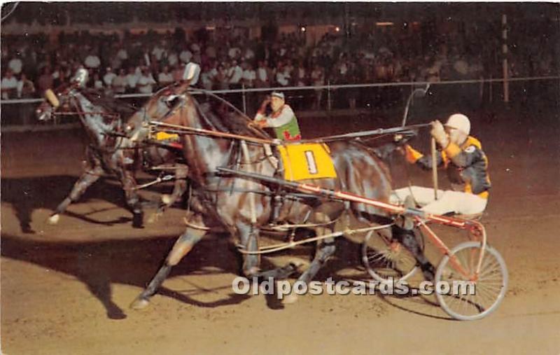 Saratoga Raceway Trotter Saratoga Springs, NY, USA Horse Racing Unused 