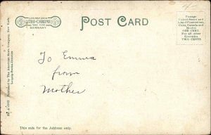 Group of US Army Nurses c1910 Pre-WWI Postcard