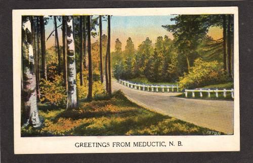 NB Greetings from MEDUCTIC NEW BRUNSWICK Canada PC