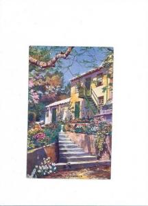 LP09    Bermuda,  vintage postcard, gardens par de ville, 