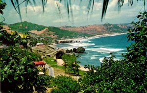 Barbados Bathsheba Coast