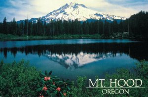 USA Mt. Hood Oregon Vintage Postcard BS.10
