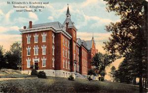 Olean New York St Elizabeth Academy Seminary Antique Postcard K36164