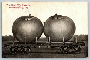 The Kind We Raise in Mechanicsburg Illinois~Exaggerated Apples on RR Car~1911 