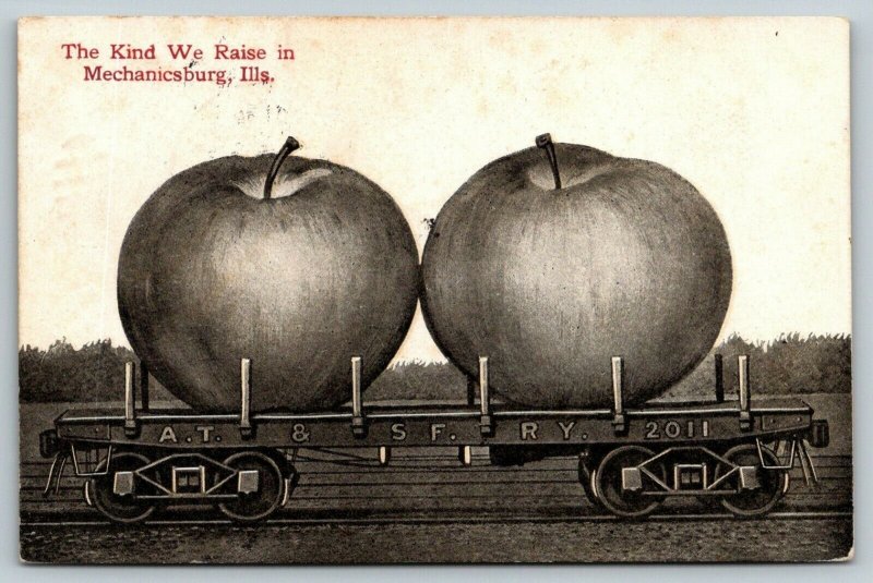 The Kind We Raise in Mechanicsburg Illinois~Exaggerated Apples on RR Car~1911 