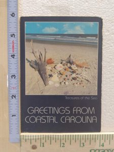 Postcard Treasures of the Sea, Greetings From Coastal Carolina