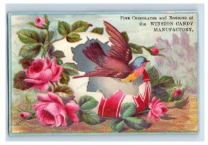 1880s Winston Candy Fine Chocolates & Bonbons Fab! F152