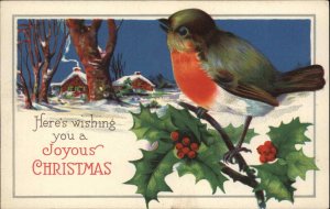 Christmas Bird Holly House Stecher c1900s-10s Postcard