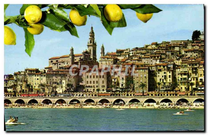 Postcard Moderne Menton Scenic View On The Old Menton Lemon