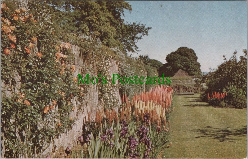 Scotland Postcard - The Garden, The Palace of Falkland, Fife  RS31414