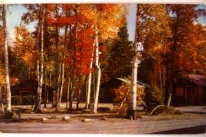 1950's Ward's Big-Wood Lake Cabins Jackman Station Maine ME Postcard y2560