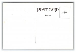 Berthoud Pass Colo. Colorado Alt. 11,315 Postcard