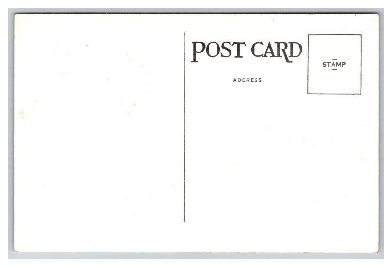Berthoud Pass Colo. Colorado Alt. 11,315 Postcard