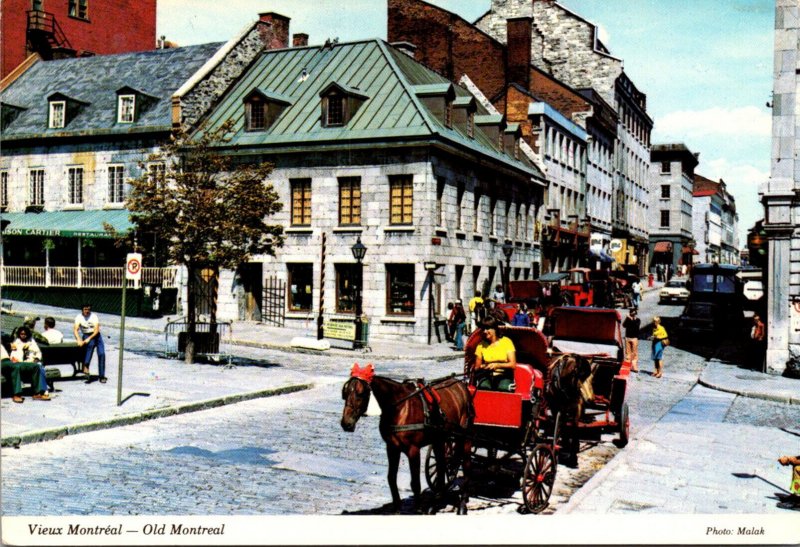 Canada Old Montreal Touring The City By Horse DRawn Carriage