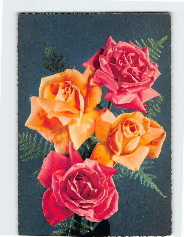 Postcard Four Roses