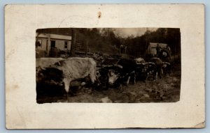 1915 Oxen Team Wagon Spencer West Virginia WV RPPC Photo Antique Postcard