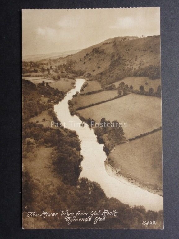 Herefordshire: The River Wye from Yat Rock, Symonds Yat - Old Postcard