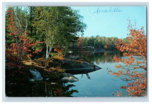 Vintage Whitefish Falls Canada Postcard P99E