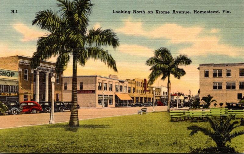 Florida Homestead Krome Avenue Looking North