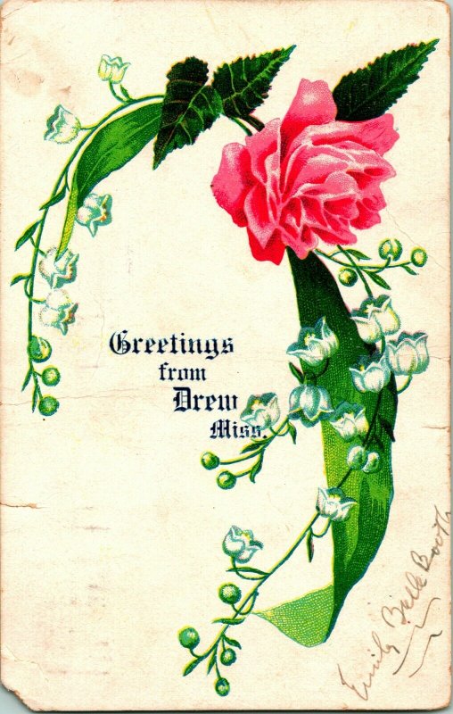 Vtg 1907 Undivided Back Postcard - Greetings From Drew, Miss - Mississippi