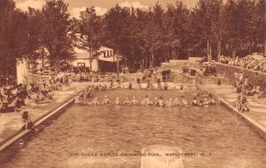 Maplecrest New York Sugar Maples Swimming Pool Antique Postcard K83107