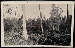 Vintage Postcard 1940 Bird refuge, Okefenokee Swamp, Waycross, Georgia (GA)