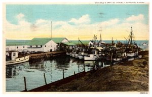 Texas  Palacios  Shrimp Fleet at Dock