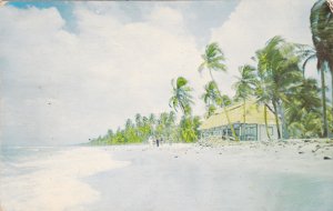 Tourist Camp - Salado Beach - LA CEIBA - Honduras , 1953