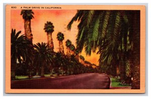 Palm Drive Street View at Sunset California CA Linen Postcard N26