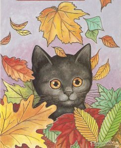  Autumn Cat, by Jaqueline Bourdillon Modern French artist drawn postcard