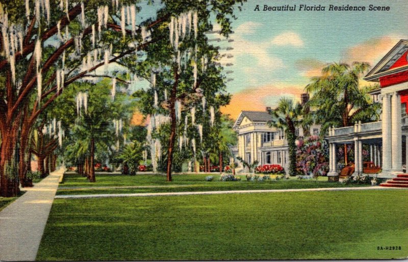 Florida A Beautiful Residence Scene 1945 Curteich