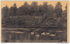 The Swans, Greenwood Lake, Delaware, Ohio, PU-1912