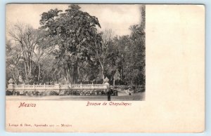 CHAPULTEPEC, Mexico ~ BOSQUE de CHAPULTEPEC  c1900s Postcard