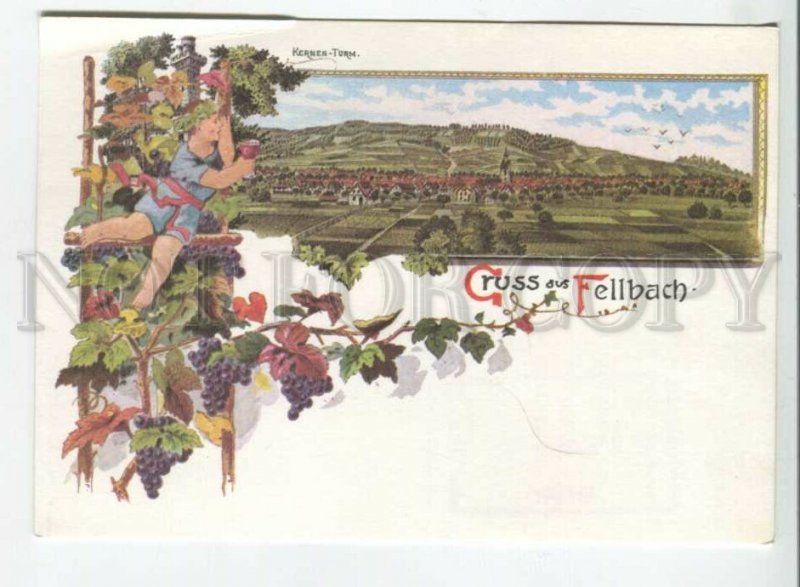 441220 Germany 1982 Gruss aus Fellbach advertising exhibition winemaking