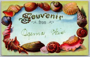 Vtg Souvenir from Ogema Wisconsin WI Embossed Sea Shells Border 1910s Postcard