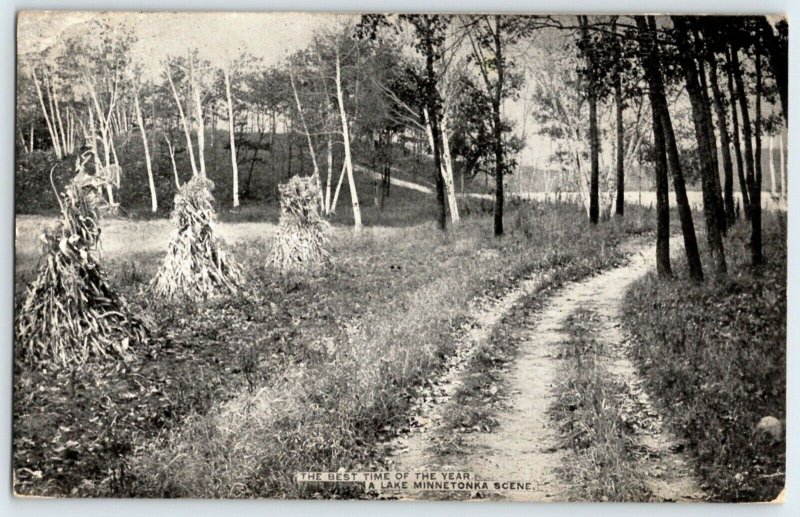 1909  Minnesota Lake Minnetonka Road View Post Card