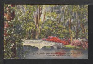 Bridge,Magnolia Gardens,Charleston,SC Postcard 