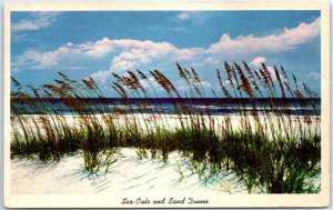 Sea-Oats And Sand Dunes Along Florida's Beautiful Coast Line - Florida