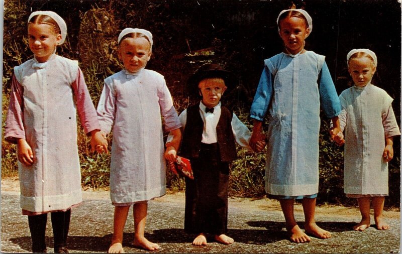 Greetings Pennsylvania Dutch Colony Amish Children Mennonites Chrome Postcard 