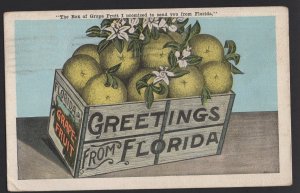 Florida Greetings from The Box of Grape Fruit I Promised Send to You pm1921 ~ WB