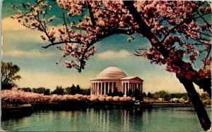 Jefferson Memorial Washington DC Japanese Cherry Blossom Tree Postcard PM Cancel 